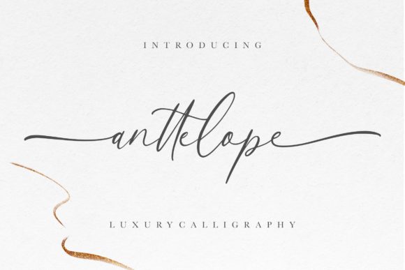 Anttelope: A Luxury Script Font for Marketers