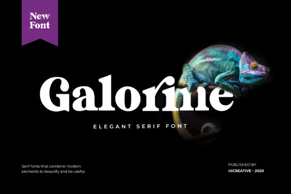 Galorine: The Elegant Serif Font for Makers