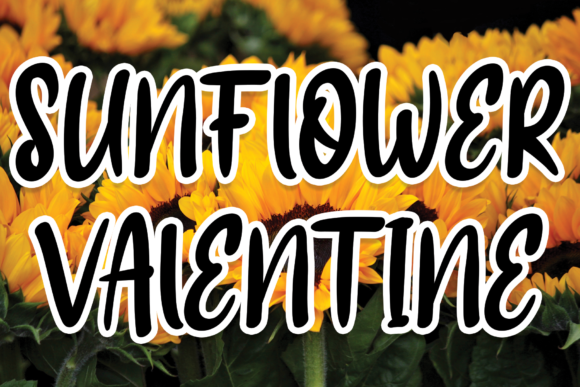 Sunflower Valentine: A Trendy Script Handwritten Font
